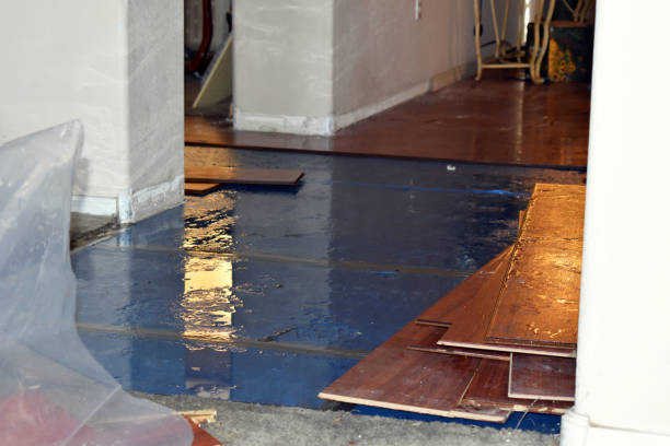 Professional Sewage Cleanup technician working in Schertz, TX